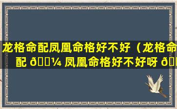 龙格命配凤凰命格好不好（龙格命配 🌼 凤凰命格好不好呀 🐶 ）